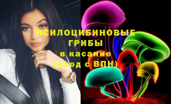 а пвп мука Ельня