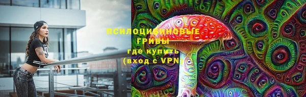 а пвп мука Ельня